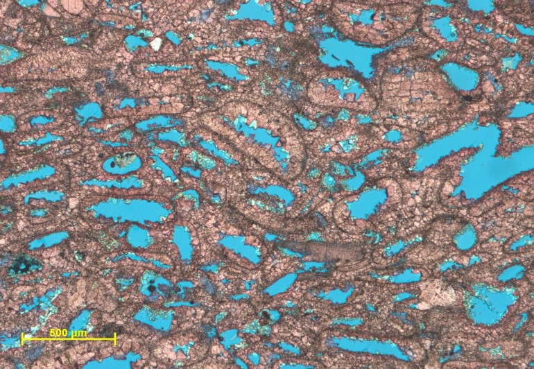 De-risking Carbonate Exploration (G008)